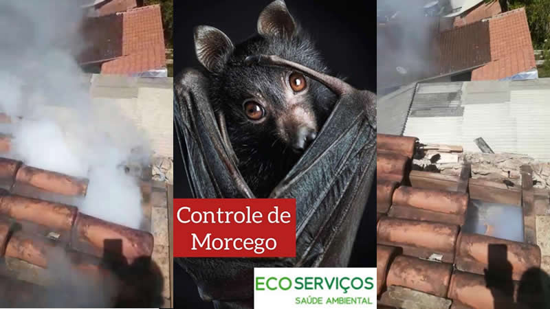 Controle de Morcegos