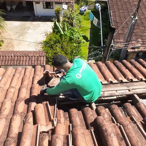 Dedetização em São Paulo