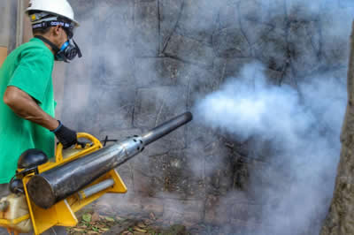 Controle da dengue pela EcoServiços