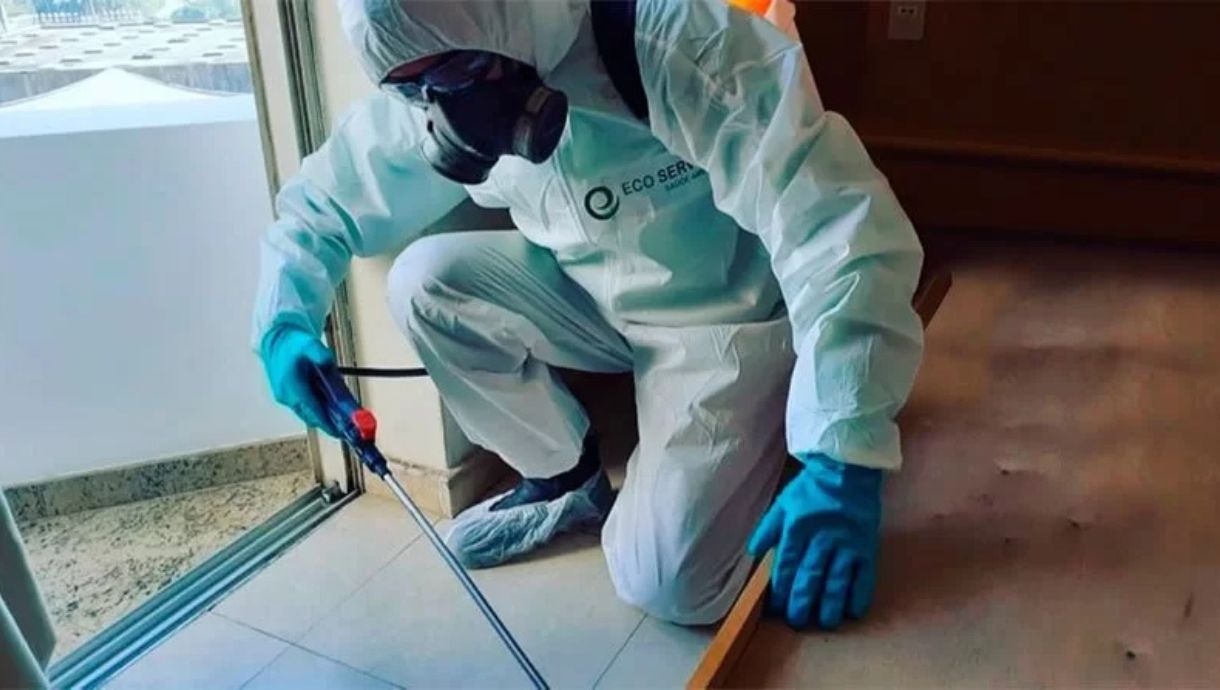 controle-de-pragas-prov