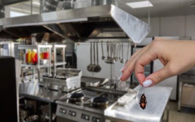 Dedetização de restaurantes: como evitar multas, contaminação e perda de reputação