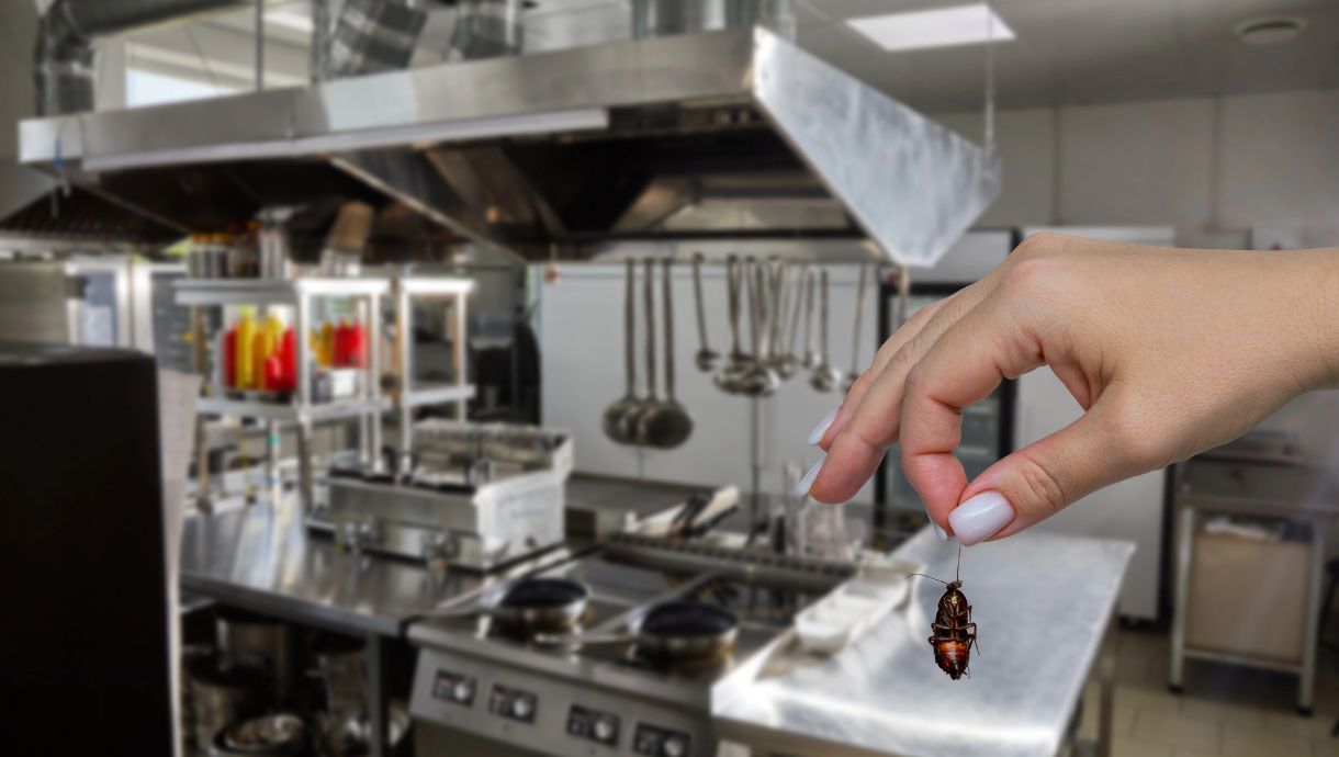 Dedetização de Restaurantes