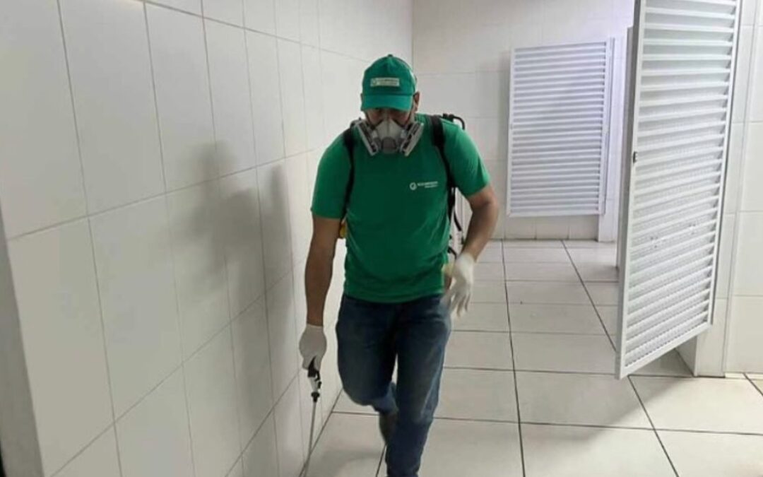 Infestação de baratas: por que os métodos caseiros falham e como resolver de vez