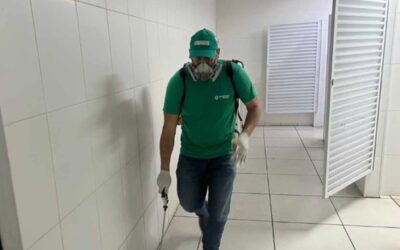 Infestação de baratas: por que os métodos caseiros falham e como resolver de vez